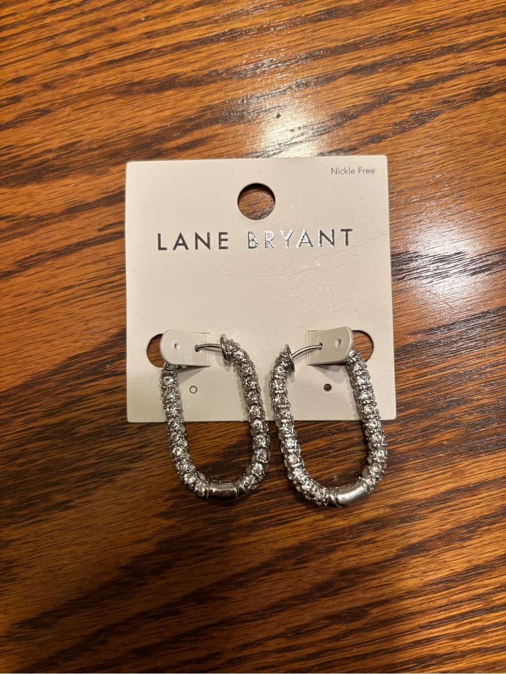 Lane Bryant Silver Crystal Hoop Earrings